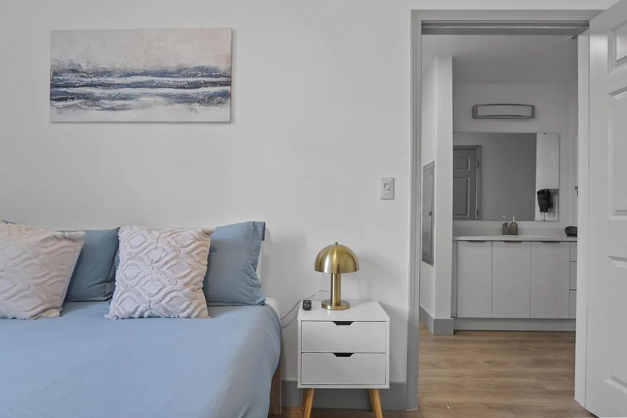 Apartment Beautiful Blue Spacious Free Parking View Gym Charlotte